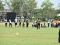 Tn dsc 0991